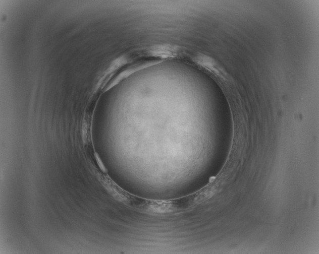 X0000083610720200702121115