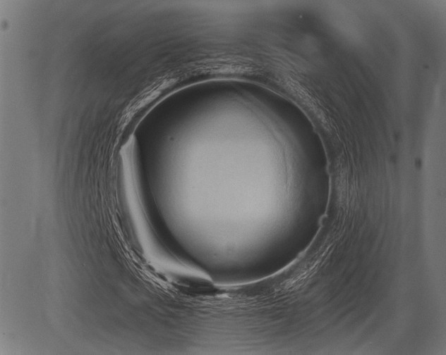 X0000083610721200702121114