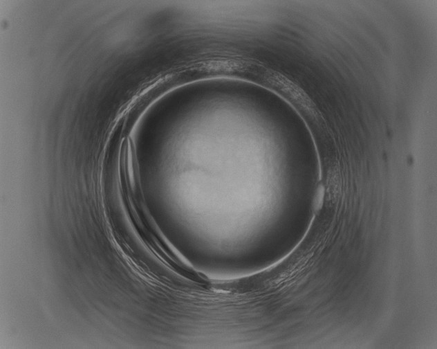 X0000083610722200702121114