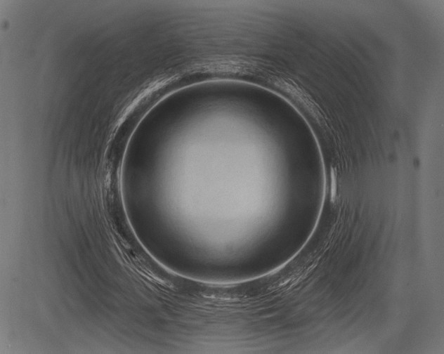 X0000083610723200702121114