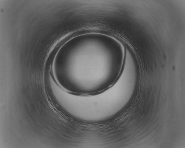 X0000083610724200702121114