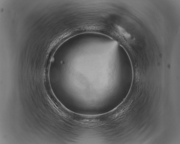 X0000083610725200702121114