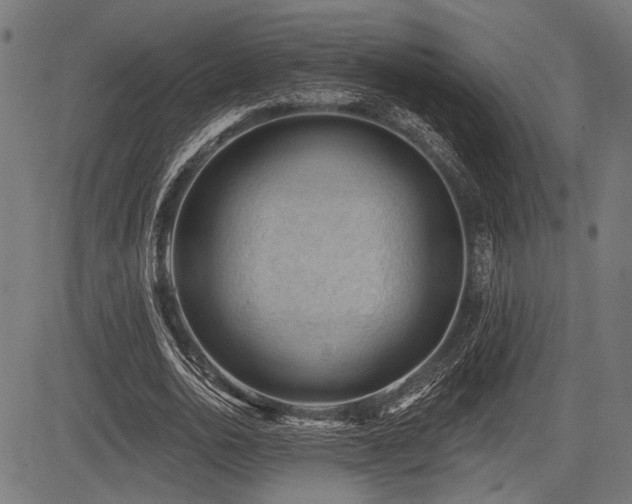 X0000083610726200702121114