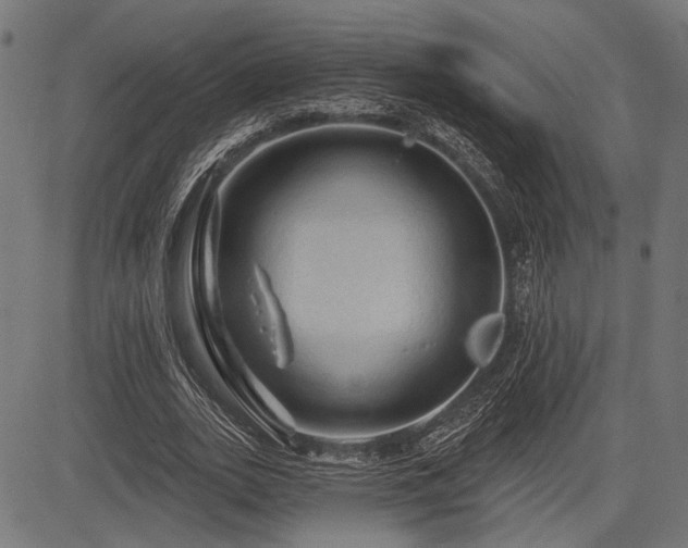 X0000083610727200702121114