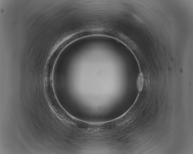 X0000083610728200702121114