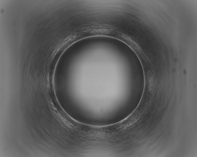 X0000083610729200702121114