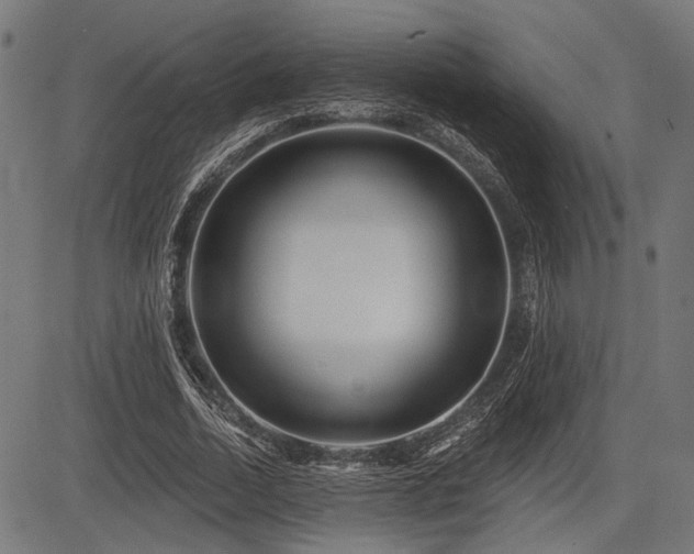 X0000083610730200702121114