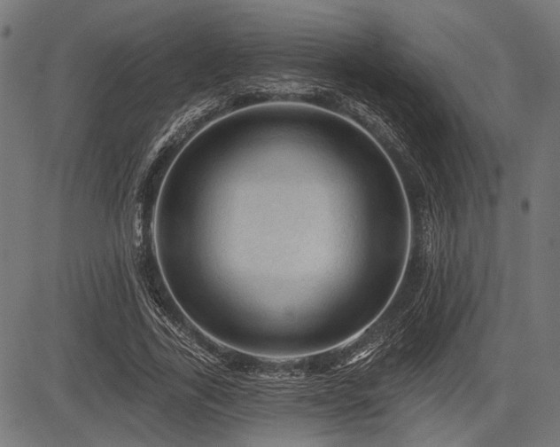 X0000083610731200702121114