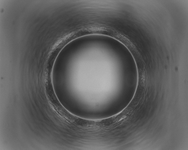 X0000083610732200702121114