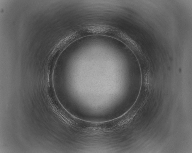 X0000083610733200702121114