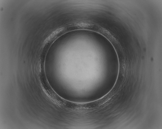 X0000083610734200702121114