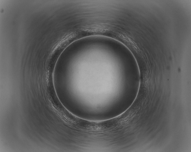 X0000083610735200702121114