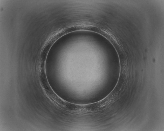 X0000083610736200702121114