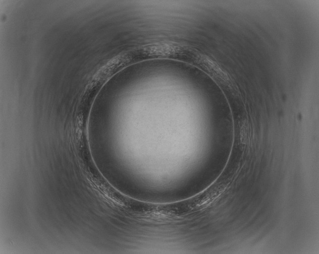 X0000083610737200702121114