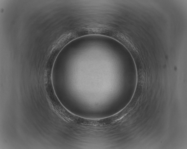 X0000083610738200702121115