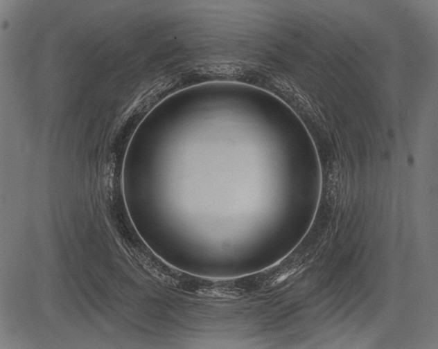 X0000083610739200702121115