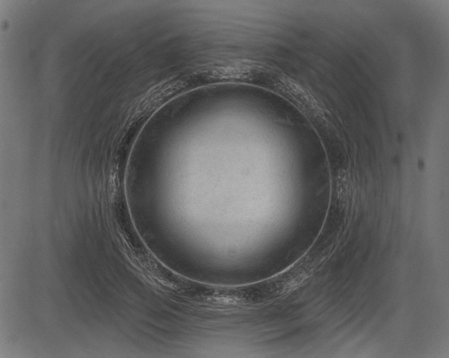 X0000083610741200702121115