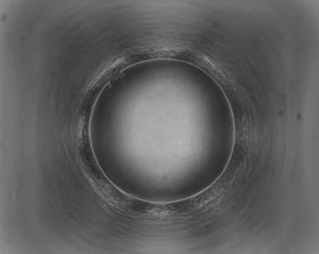 X0000083610742200702121115