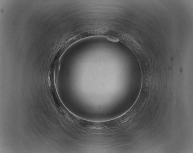 X0000083610743200702121115