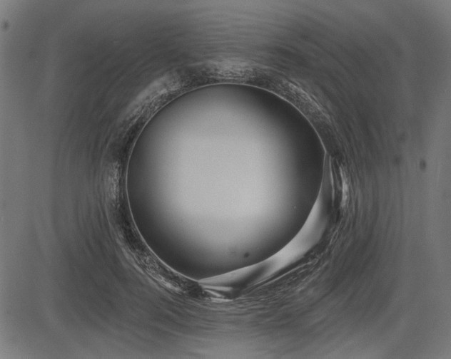 X0000083610744200702121115