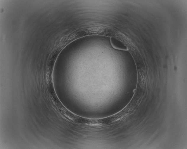 X0000083610745200702121115