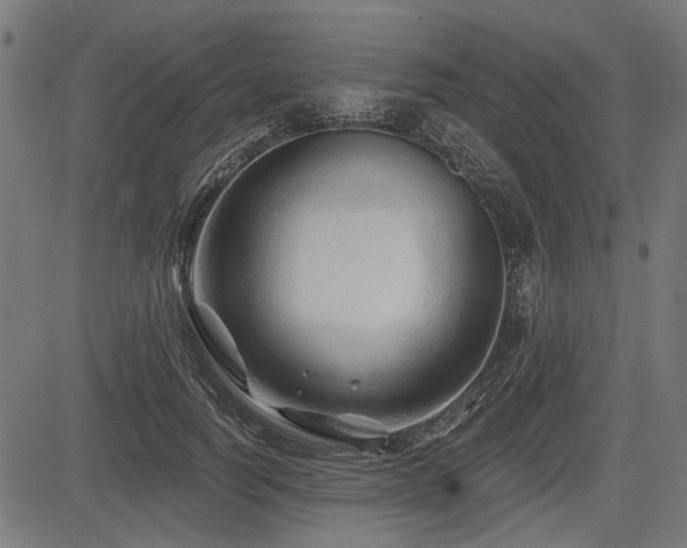 X0000083610746200702121115