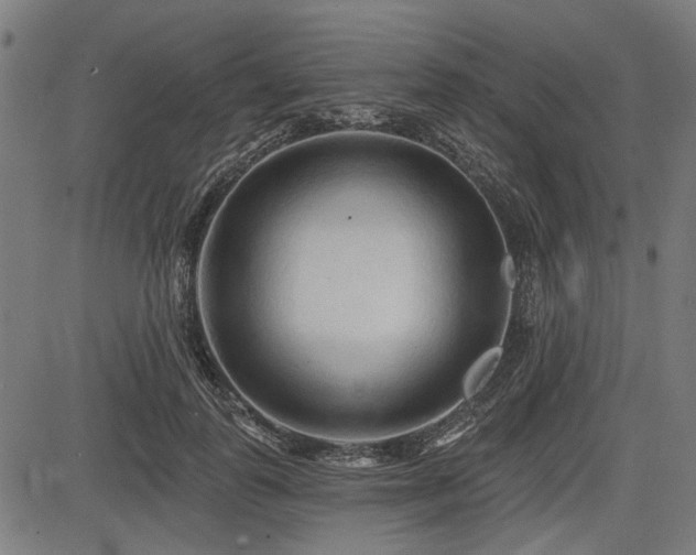 X0000083610747200702121115