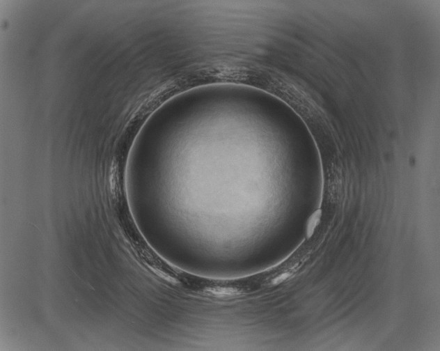 X0000083610748200702121115