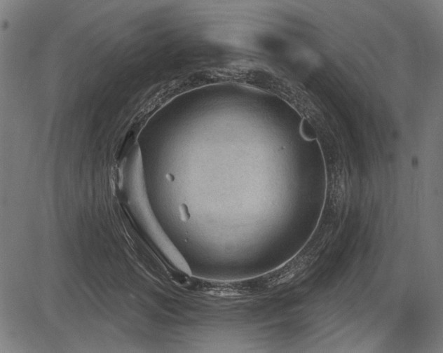 X0000083610749200702121115