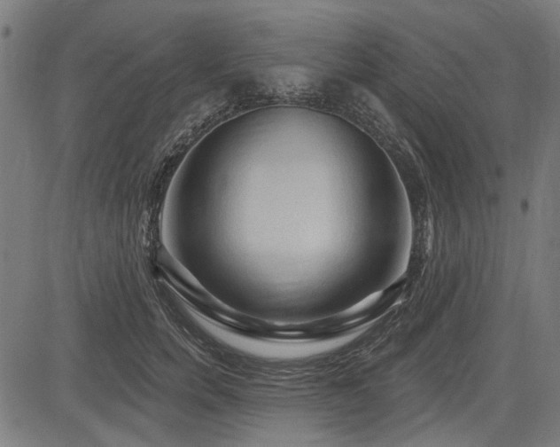 X0000083610750200702121115