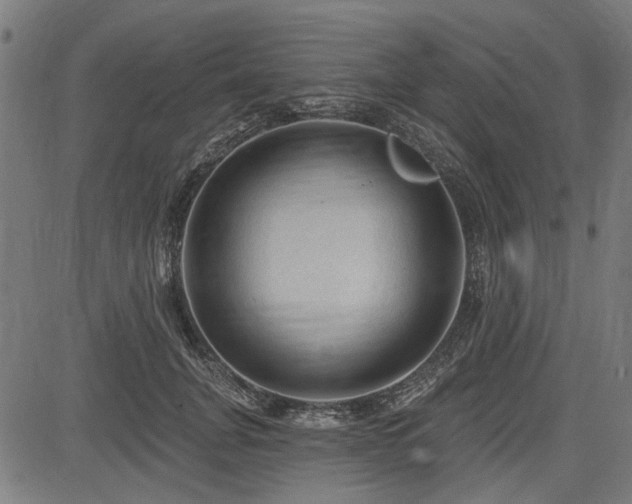 X0000083610751200702121115