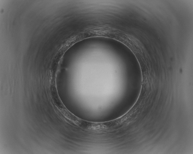 X0000083610752200702121115