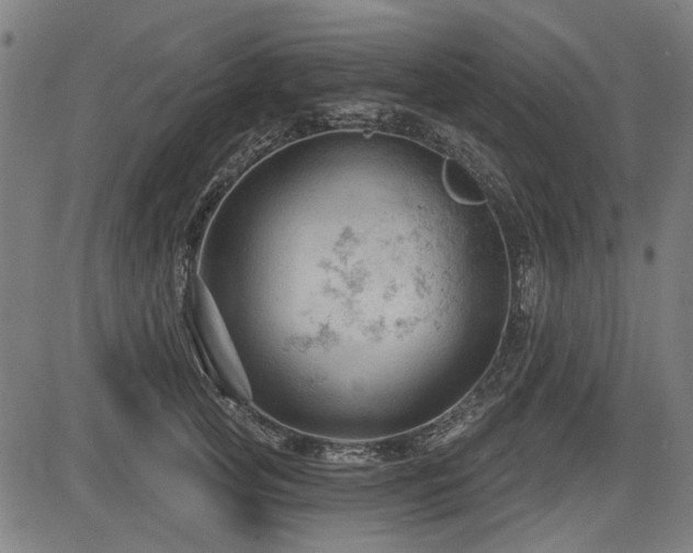 X0000083610753200702121115