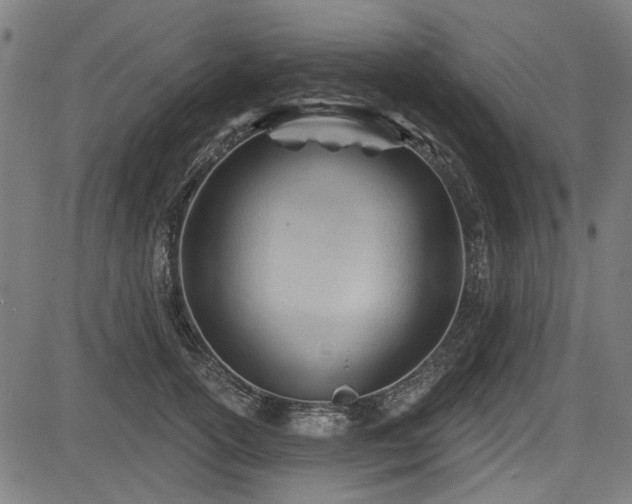 X0000083610754200702121115