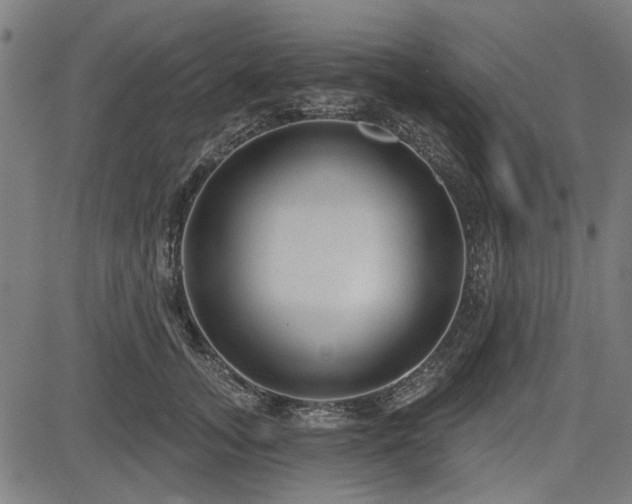 X0000083610755200702121115