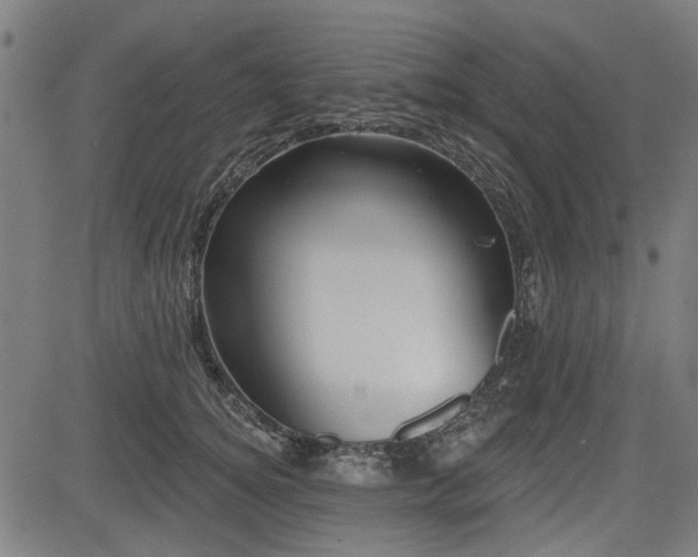 X0000083610756200702121115