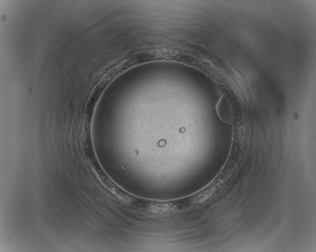 X0000083610757200702121115