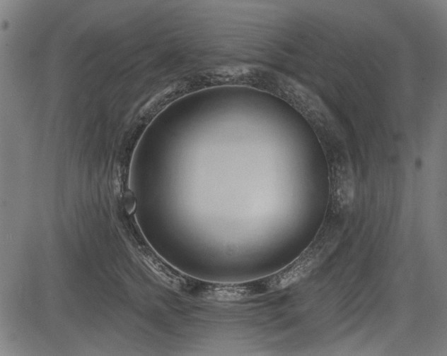 X0000083610758200702121115