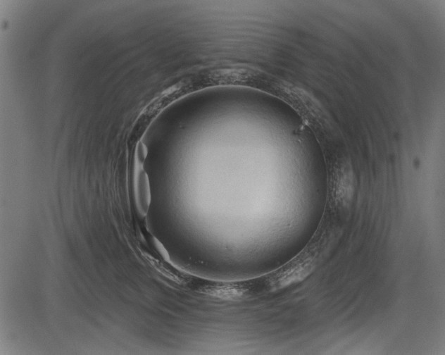 X0000083610759200702121115