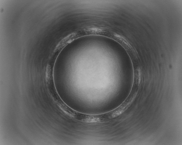 X0000083610760200702121115