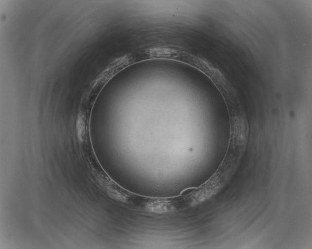 X0000083610761200702121115