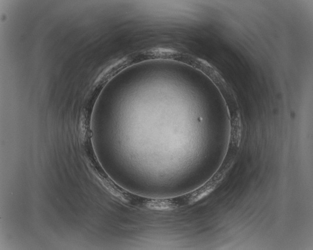 X0000083610762200702121115