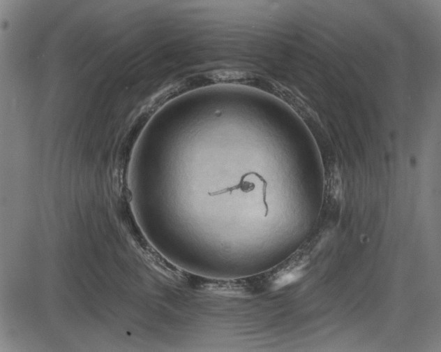 X0000083610763200702121115