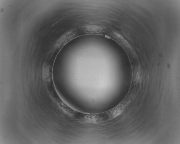 X0000083610764200702121115