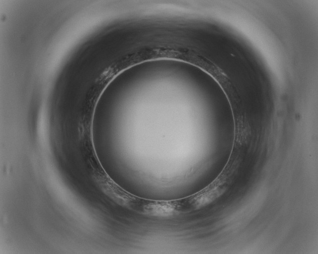 X0000083610765200702121115