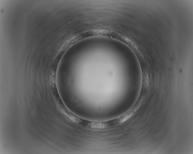 X0000083610766200702121115