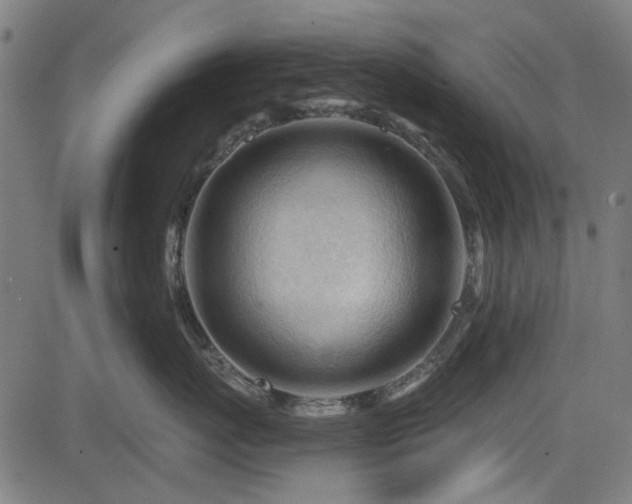 X0000083610767200702121115