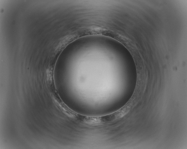 X0000083610768200702121115