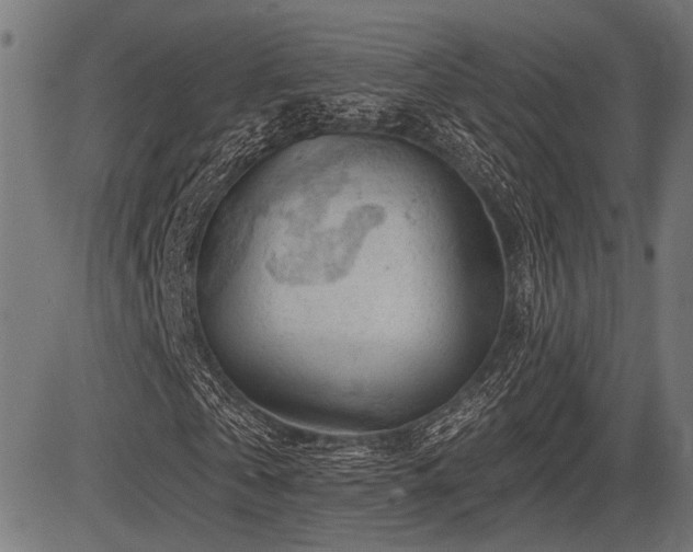 X0000083610769200702121114