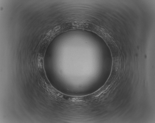 X0000083610770200702121114